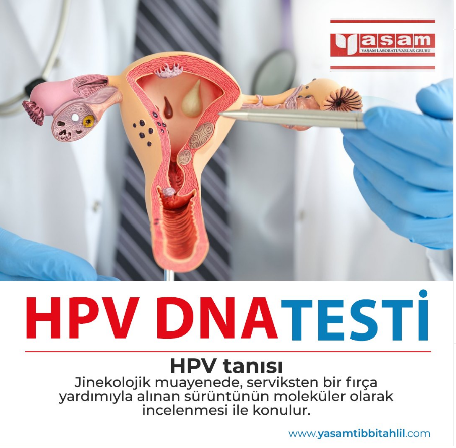 Günümüzün en çok konuşulan bulaşıcı hastalıklarından biri olan HPV, açılımı Human Papilloma Virüsü olan bir insan siğil virüsüdür.